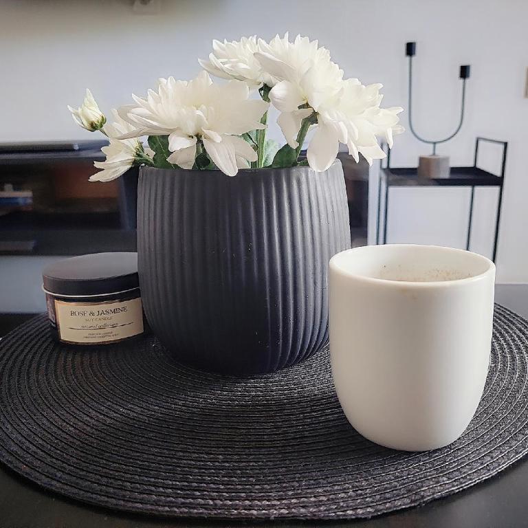 Apartman Elena Dedinje - Apartman sa 1 Spavaćom Sobom - 2