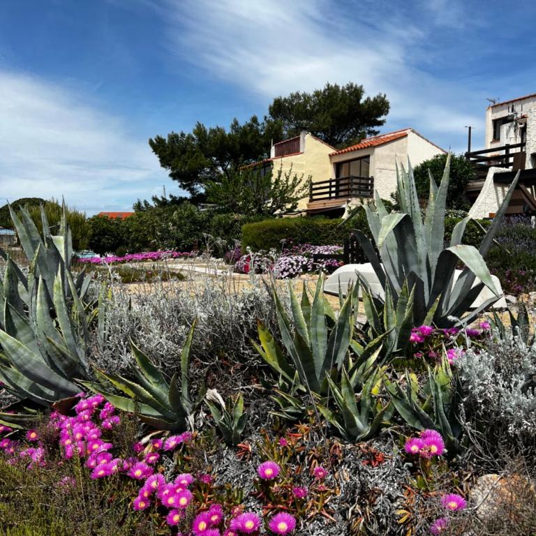 Pure Marina - Résidence Marina Plage - Villa 2 Chambres - 33