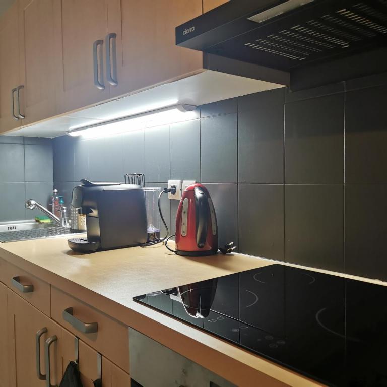 Charmant appartement à 1 minute du lac - Apartment mit 1 Schlafzimmer - 18