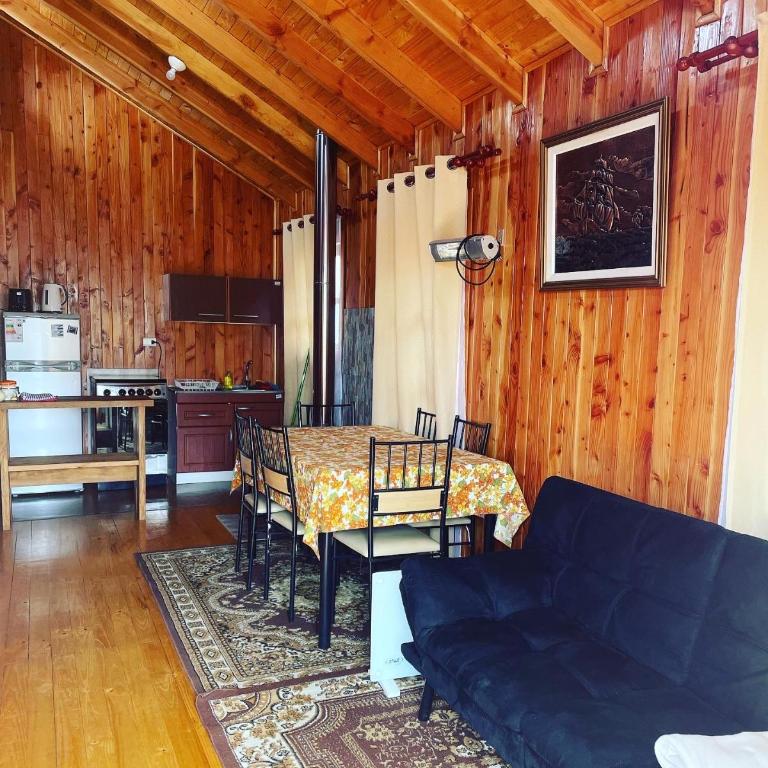 Cabañas Armonía del Ranco - Apartamento de 2 dormitorios - 4