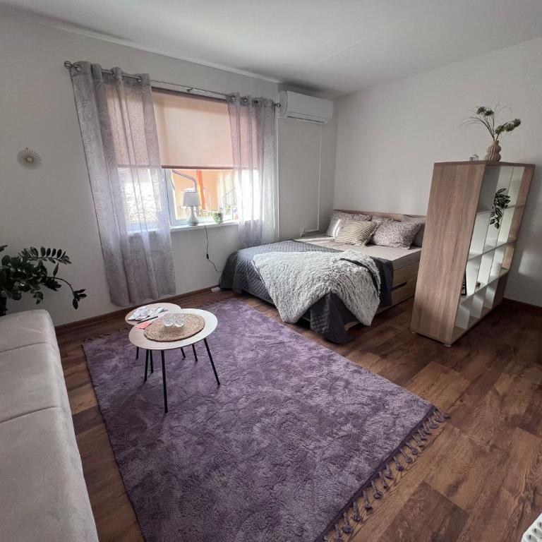 Golden joy - Apartman sa 1 Spavaćom Sobom - 1