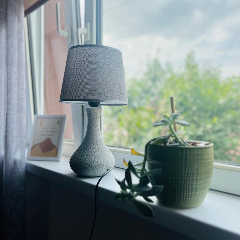 Golden joy - Apartman sa 1 Spavaćom Sobom - 10