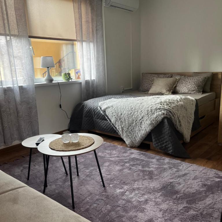 Golden joy - Apartman sa 1 Spavaćom Sobom - 12