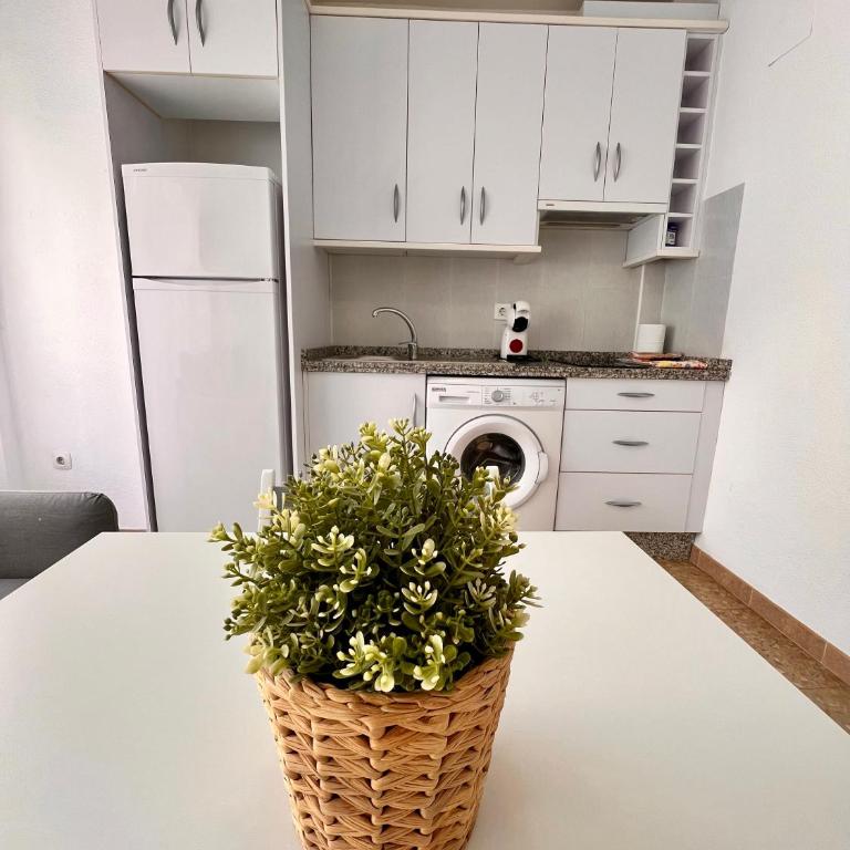 APARTAMENTO SANMIGUEL CENTRO - Apartamento de 1 dormitorio - 5