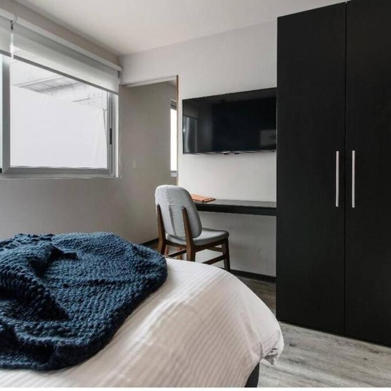 Loft precioso- Polanco(Madroño) - One-Bedroom Apartment - 8
