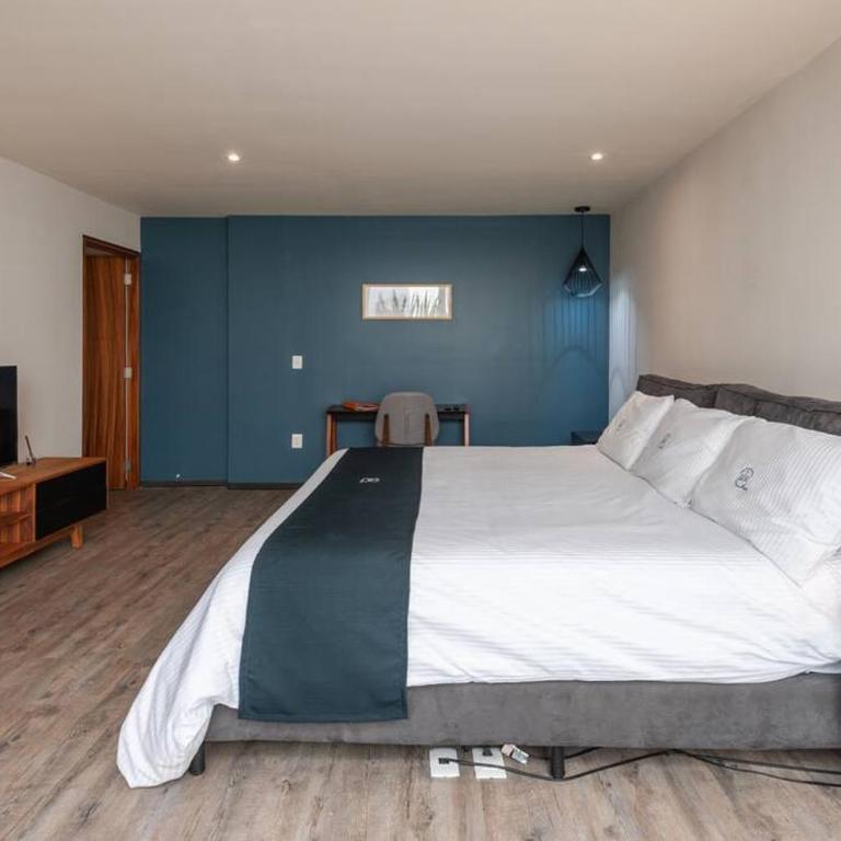 Súper loft corazón Polanco (Abedul) - Apartamento de 1 dormitorio - 7