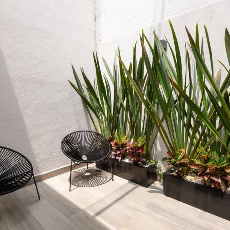 Súper loft corazón Polanco (Abedul) - Apartamento de 1 dormitorio - 12