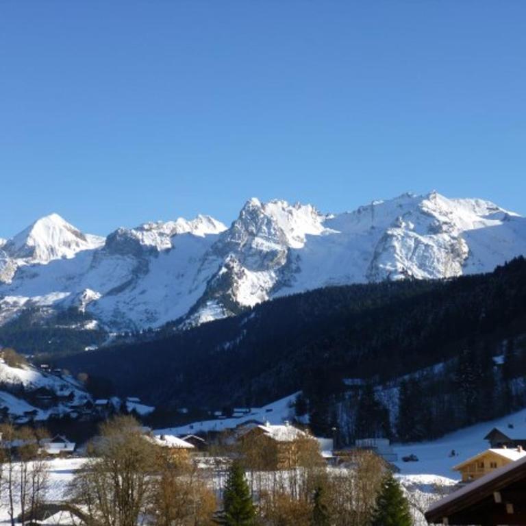 Appartement cosy 6 pers. avec parking au cœur du Grand-Bornand - FR-1-467-94 - Apartment (6 Erwachsene) - 8