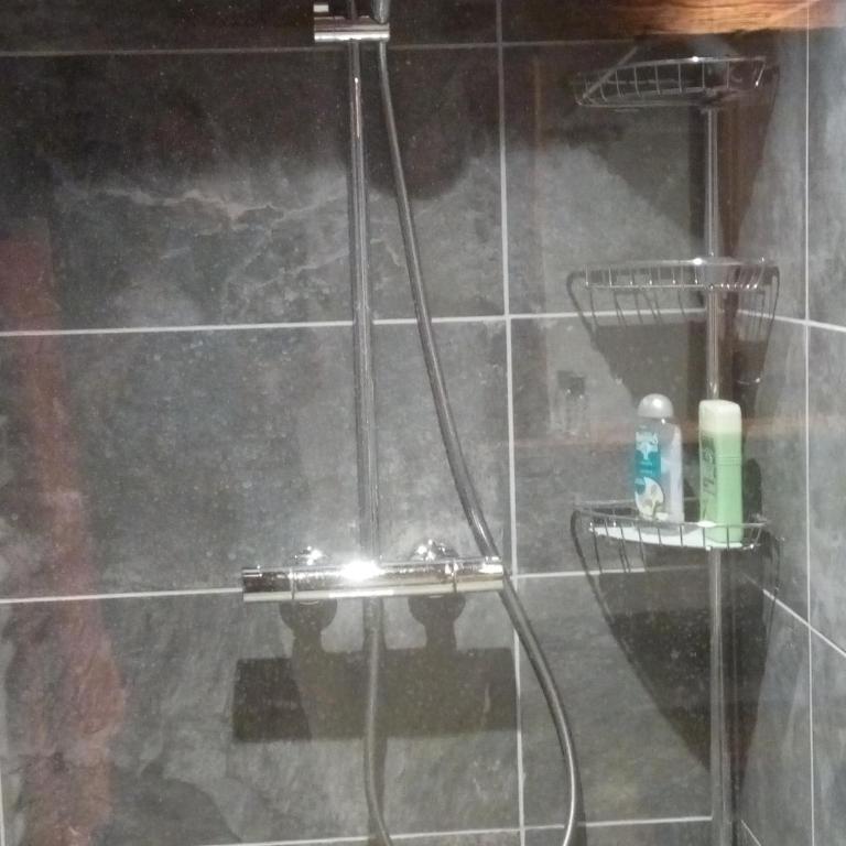 Gîte cosy 6 personnes avec bain norvégien, animaux admis, parking privé - FR-1-467-96 - Apartment (6 Erwachsene) - 3