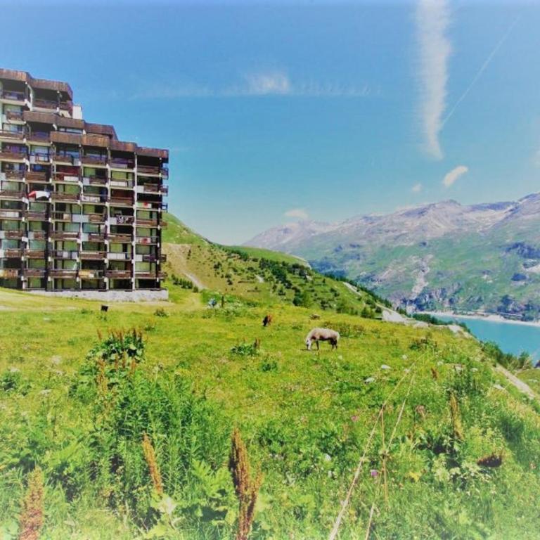 Studio 4 pers avec parking au Lavachet - FR-1-411-904 - Studio - 13