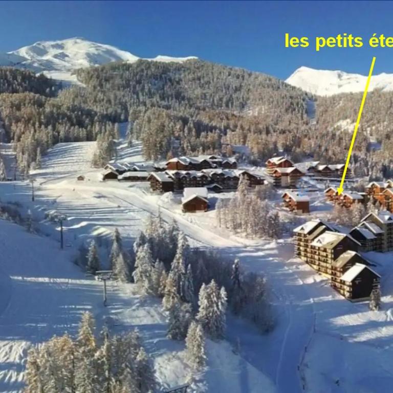LES PETITS ETERLOUS Appartement T3 36m2 à Puy St Vincent 1800 Alpes du sud 6 personnes parking privé couvert - Two-Bedroom Apartment - 22