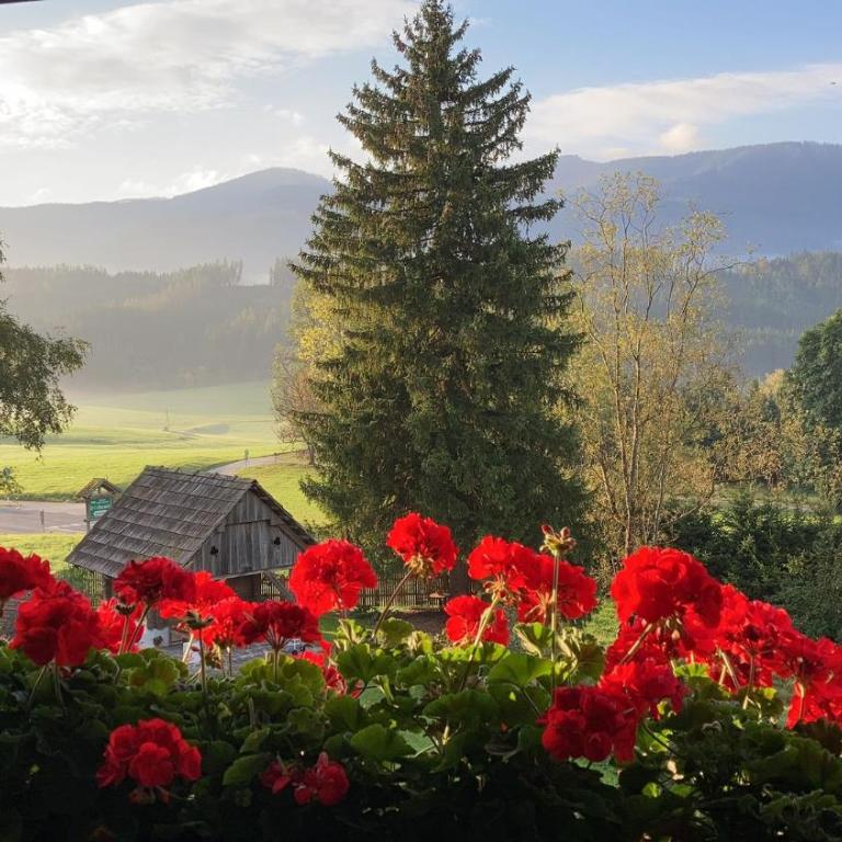 Ferienwohnungen Hotel Garni Dörflerwirt - Apartamento de 3 dormitorios - 7