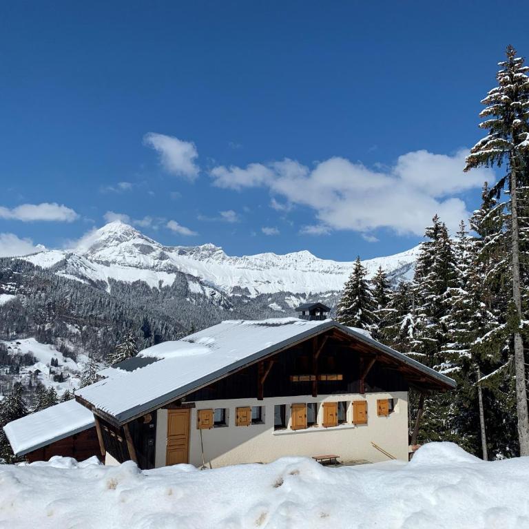 Chalet Le Remarquable, Crest Voland - Chalet - 1