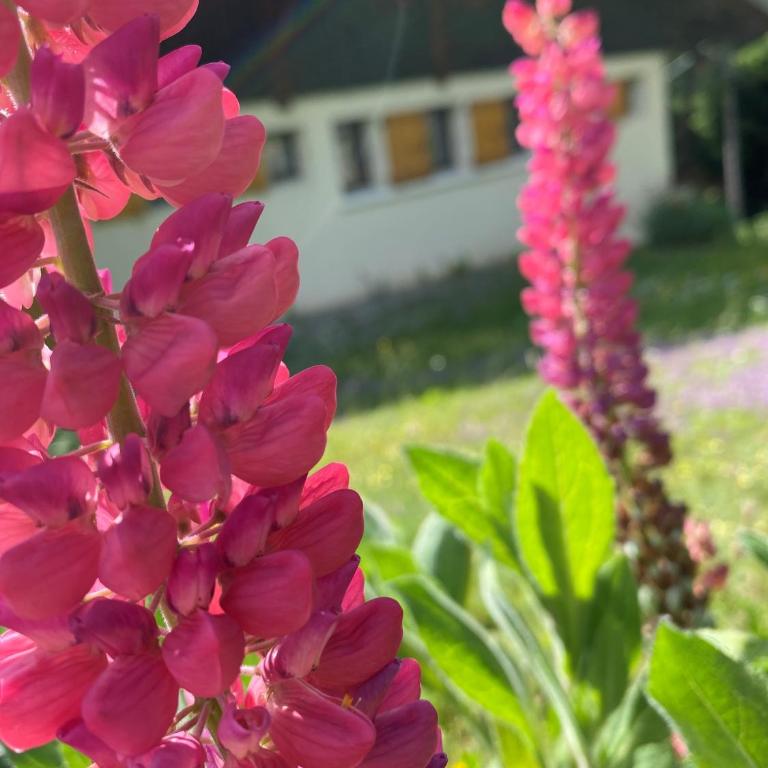 Chalet Le Remarquable, Crest Voland - Chalet - 6