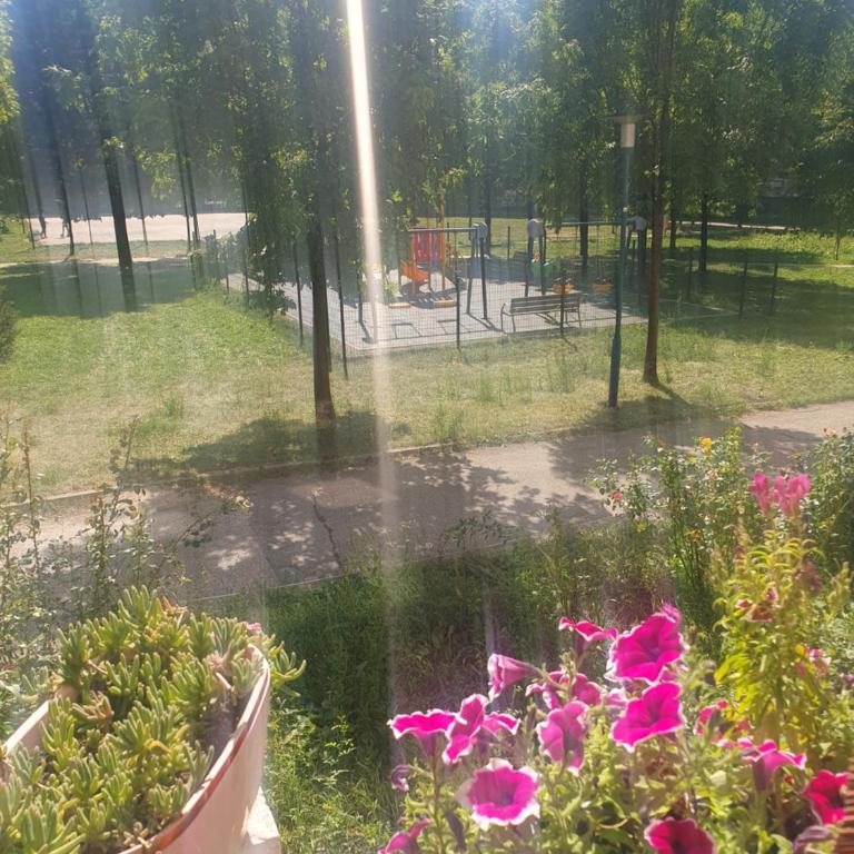 Medena - Apartman sa 1 Spavaćom Sobom - 13