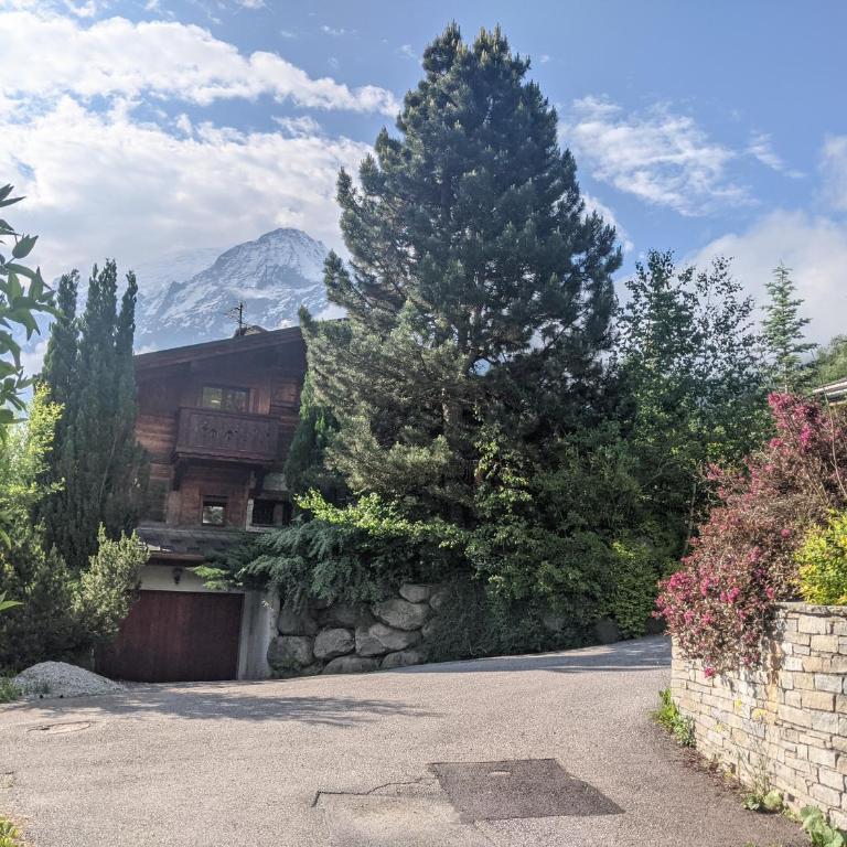 Thendia Montblanc - Chalet Supérieur - 91