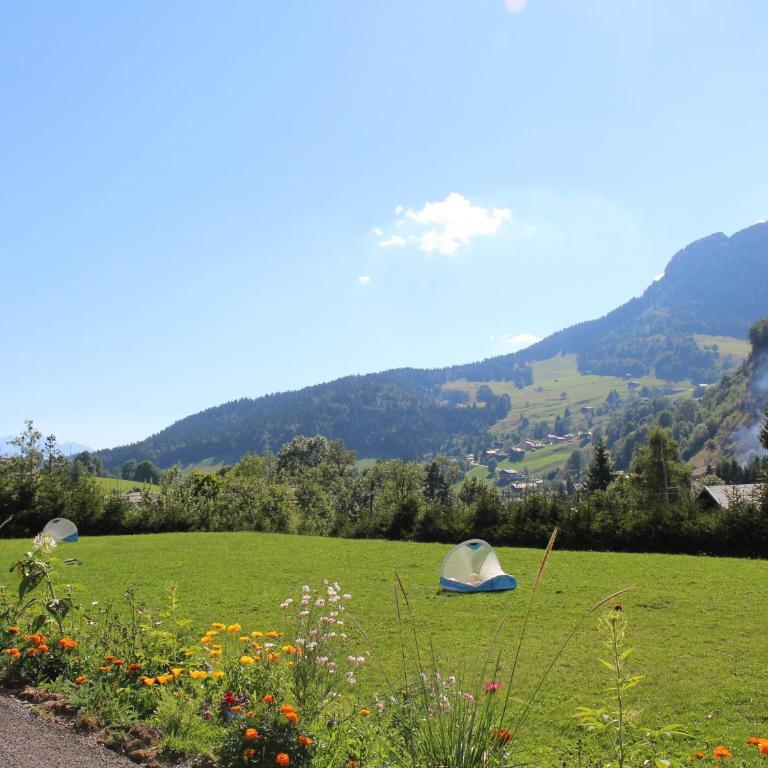 Charmant appartement au pied des pistes, 4 pers, Le Grand-Bornand - FR-1-467-55 - Appartamento (4 Adulti) - 11