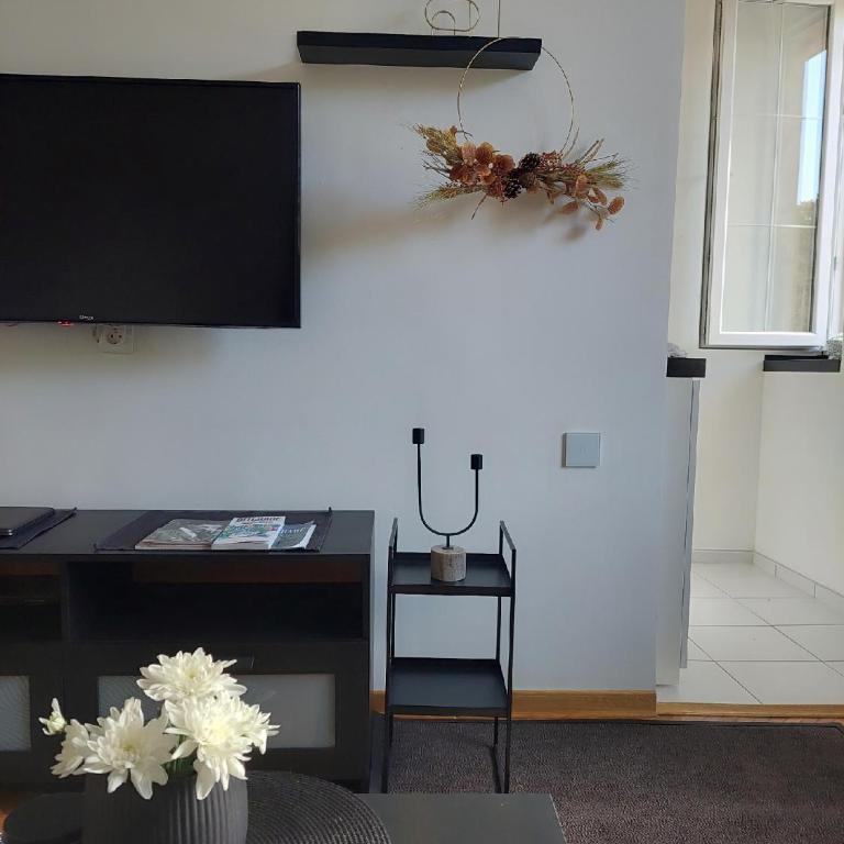 Apartman Elena Dedinje - One-Bedroom Apartment - 3
