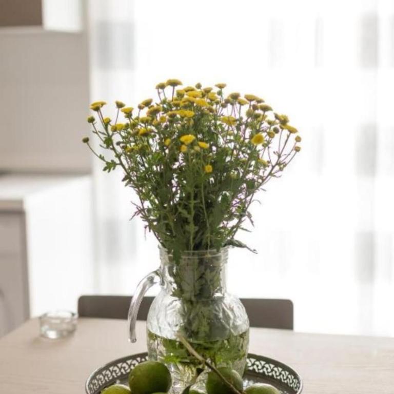 Holiday House Lady - Ferienhaus - 16
