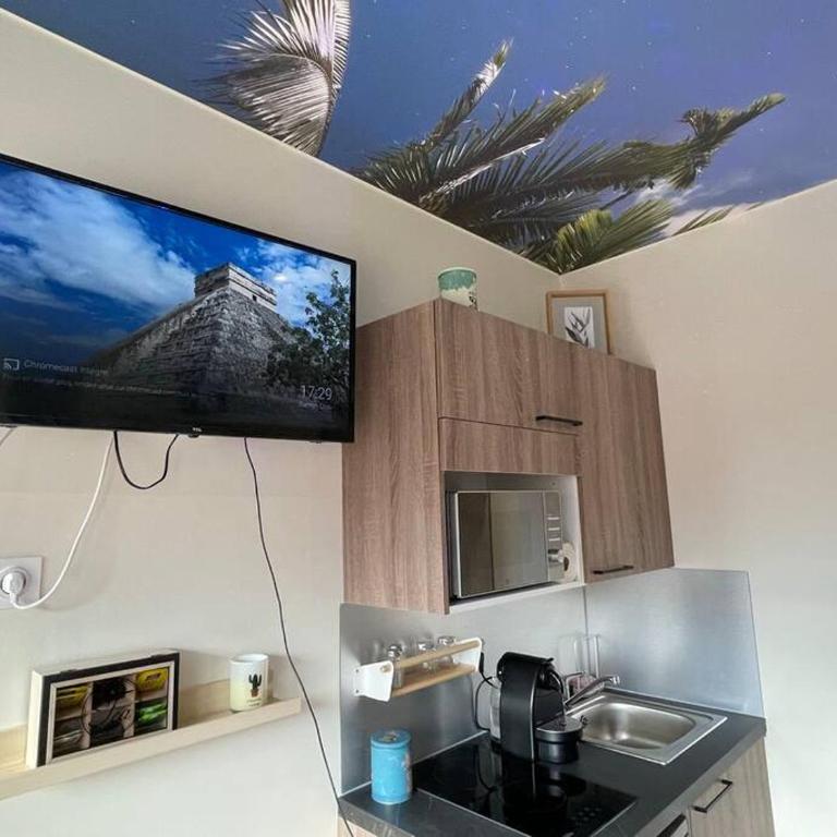 St Bruno - Studio « Palmiers » - Studio - Vue sur Montagne - 6