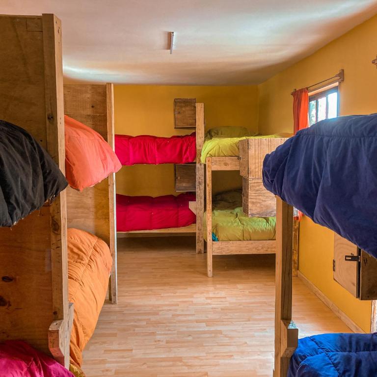 Willhouse Hostel - Single Bed in 10-Bed Dormitory Room - 3