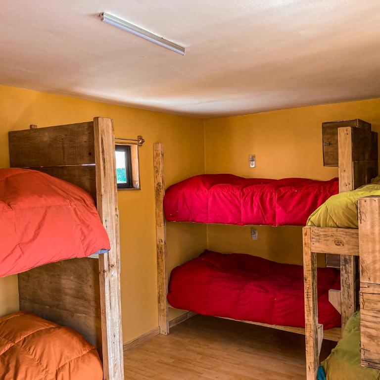 Willhouse Hostel - Single Bed in 10-Bed Dormitory Room - 2