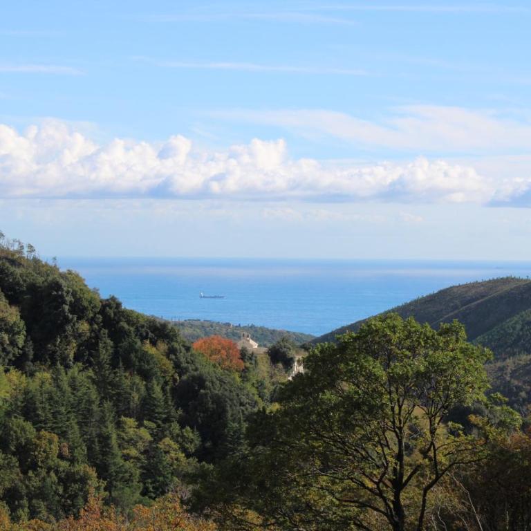 Varazze Sea Mountain 2 - Apartamento de 2 dormitorios - 31