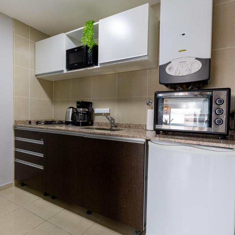 Ushuaia Homes Downtown Apartments - Estudio con vistas a las montañas - 34
