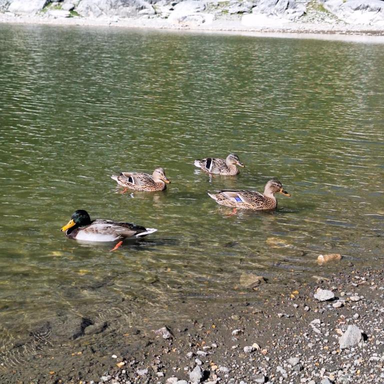 Apartman A&J - One-Bedroom Apartment - 61