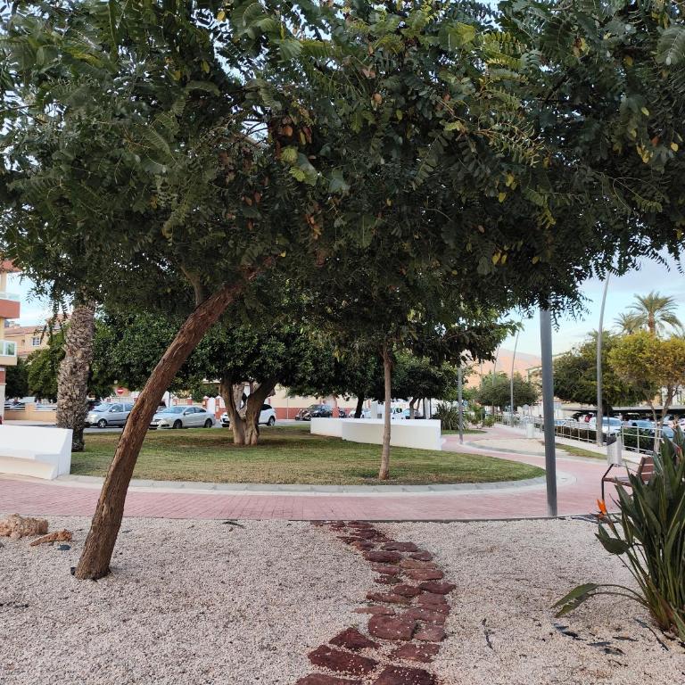 PISO TORREQUEBRADA - Two-Bedroom Apartment - 33