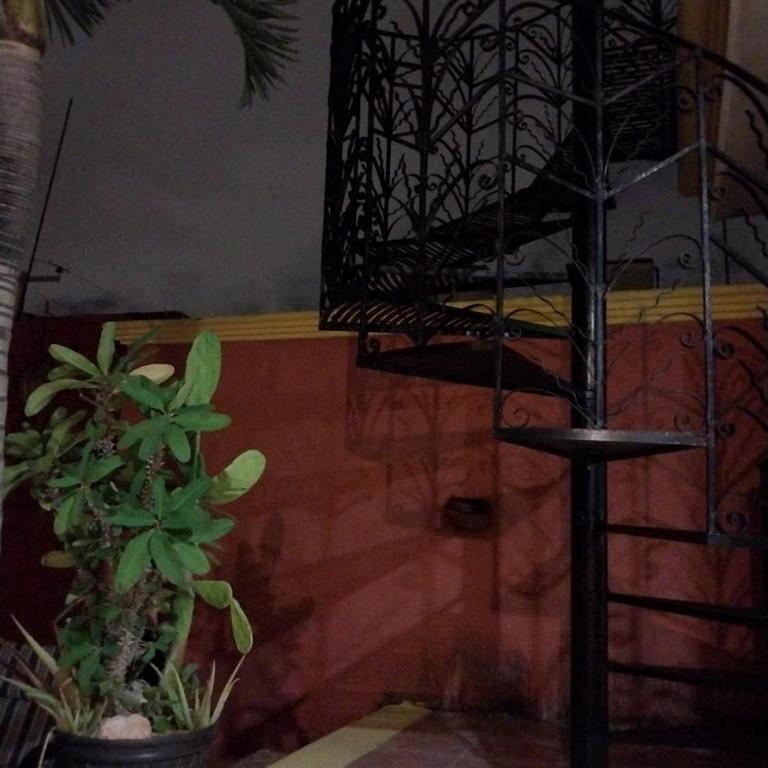 Hermosa casa cuatro recámaras independientes CA - Villa - 56