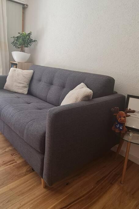 Appartement rénové avec charme - Apartment mit 1 Schlafzimmer - 4