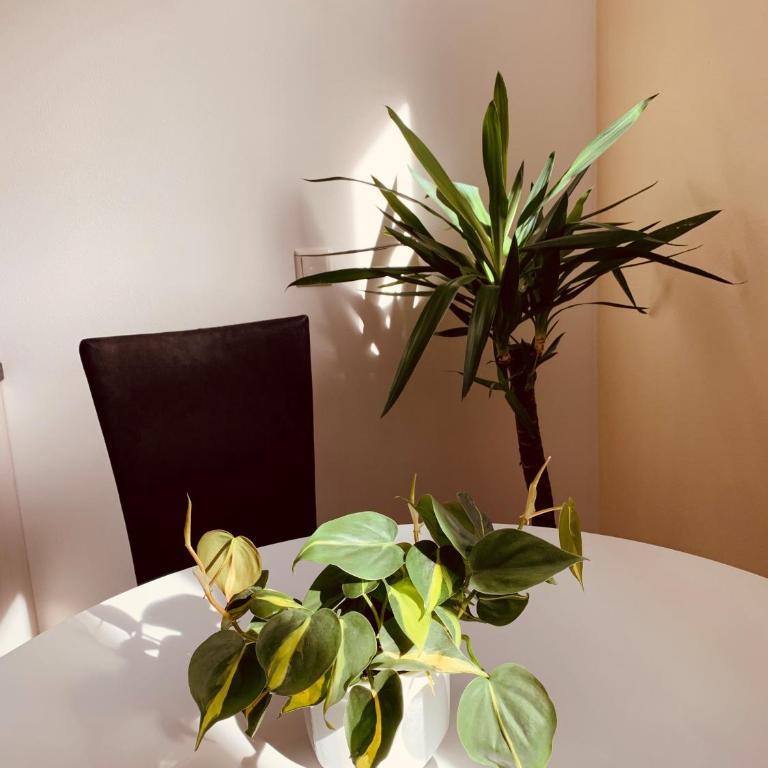 Seeperle Souterrain - Apartment mit 1 Schlafzimmer - 13