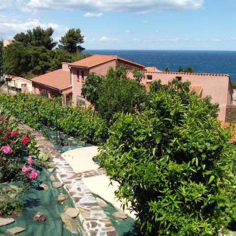 roxane Appartement F1 Bis Face La Mer - Appartement - 17
