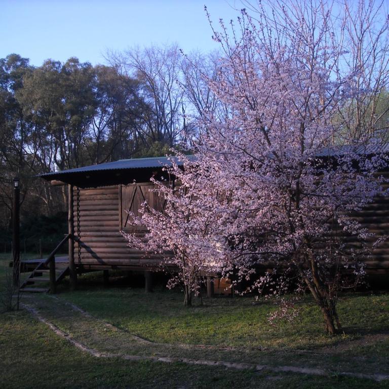 Cabañas Las Lavandas en Pilar - Bungalow (4 adultos) - 3