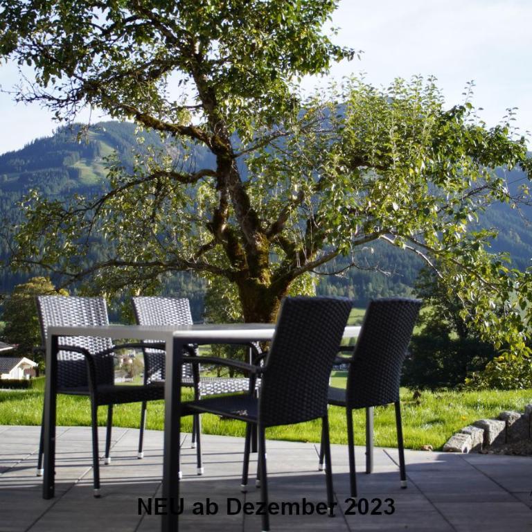 Alpenchalet zurHinterochsenweide SKI IN & SKI OUT - Apartment mit 2 Schlafzimmern und Dusche - 41