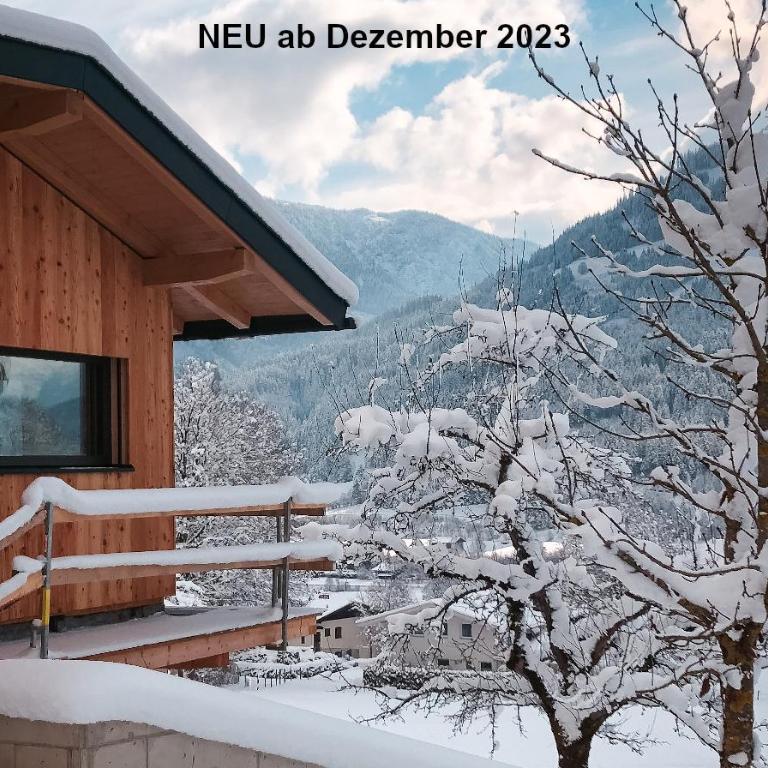 Alpenchalet zurHinterochsenweide SKI IN & SKI OUT - Apartment mit 2 Schlafzimmern und Dusche - 44