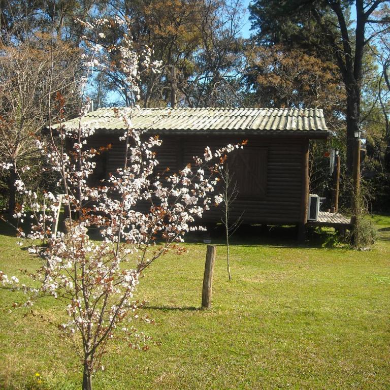 Cabañas Las Lavandas en Pilar - Bungalow (2 adultos) - 3