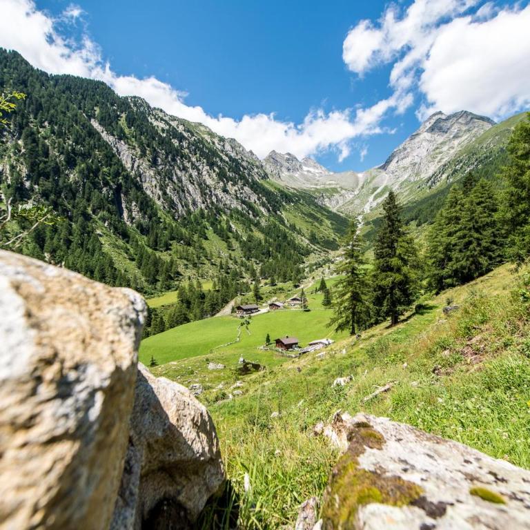Alm Chalet Oberkofl - Casa con 2 Camere da Letto - 9