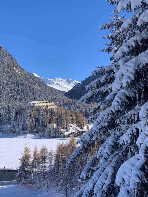 La Suite Swiss Alps - Apartment mit 1 Schlafzimmer - 29