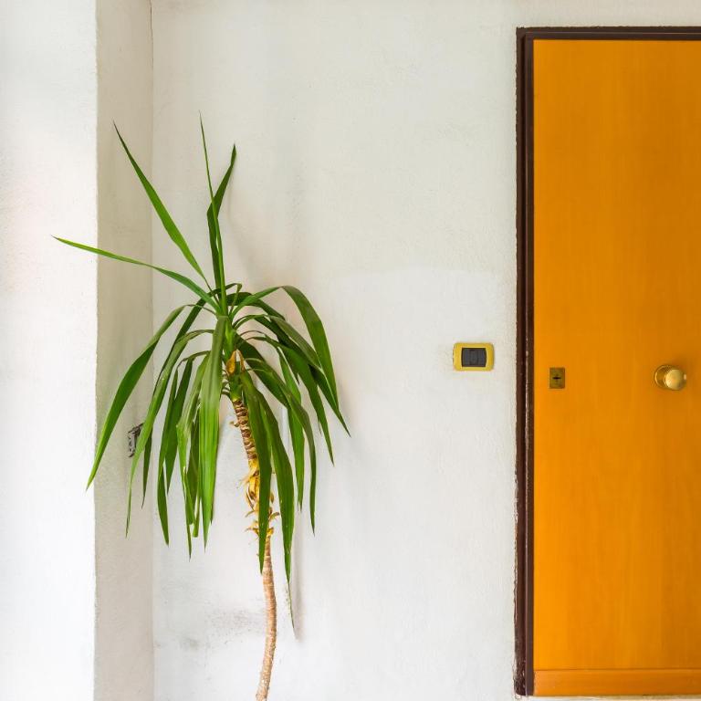 Tolentino Studio Flat by Napoliapartments - Monolocale - 20