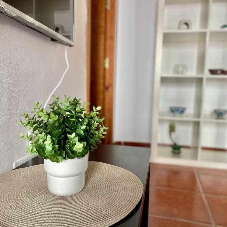Apartamento cerca de la playa Torrecilla - Apartamento - 6