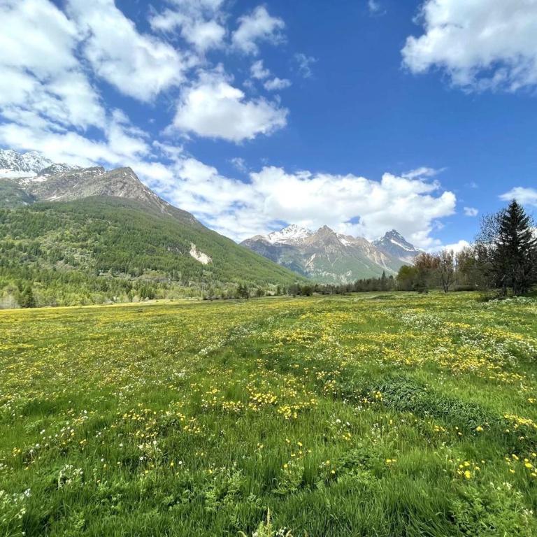 Studio au calme, 4 pers, proche pistes, balcon sud, parking privé, Monêtier-les-Bains - Appartement 1 Chambre - 7