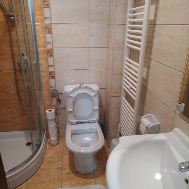 Apartman CENTAR - Apartman sa 1 Spavaćom Sobom - 7