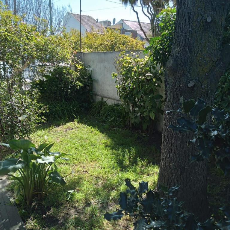 Casa 2 amb luminosa c parque - One-Bedroom House - 3