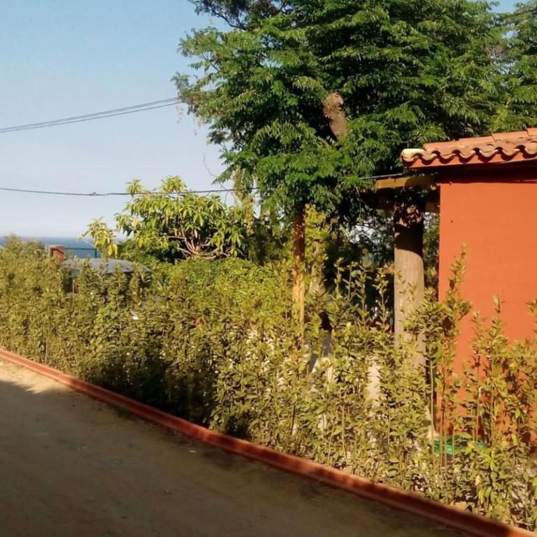 Calma i descans a Begur - Apartamento de 3 dormitorios - 20