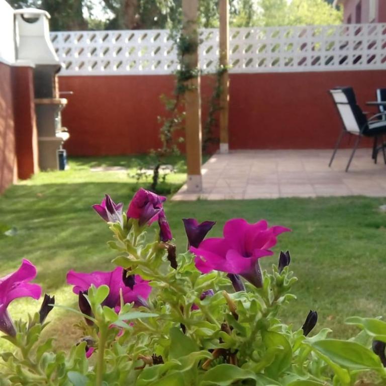 Calma i descans a Begur - Apartamento de 3 dormitorios - 41