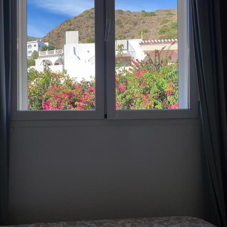 SOFIA PLAYA LAS VENTANICAS - Apartamento de 2 dormitorios - 45