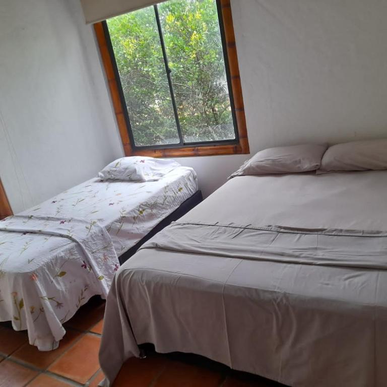 Maria Bonita - Casa de 3 dormitorios - 14