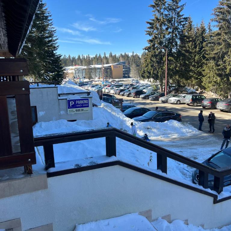 Vila Kopaonik Apartmani Milenkovic - Standardni Trokrevetni Studio - 37